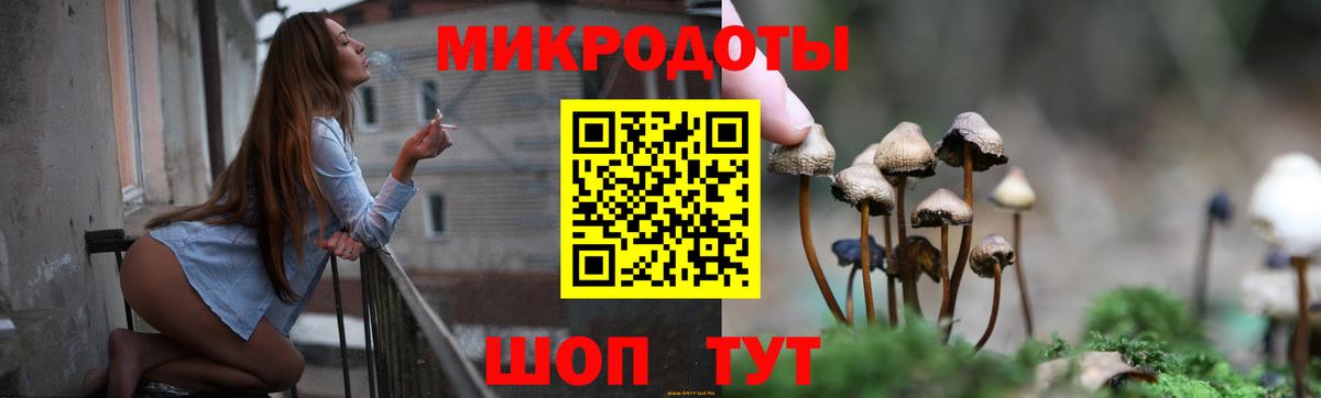 Галлюциногенные грибы Psilocybine cubensis Рубцовск